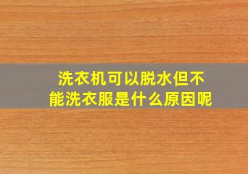 洗衣机可以脱水但不能洗衣服是什么原因呢