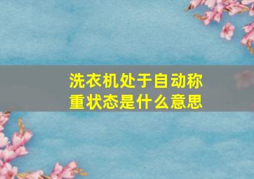 洗衣机处于自动称重状态是什么意思