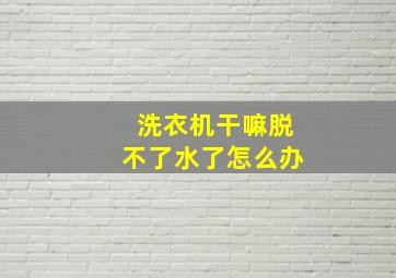 洗衣机干嘛脱不了水了怎么办