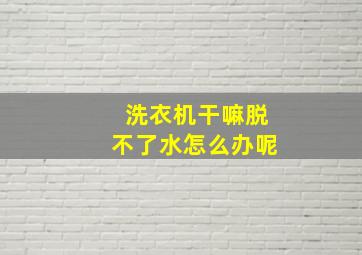 洗衣机干嘛脱不了水怎么办呢