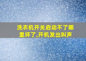 洗衣机开关启动不了哪里坏了,开机发出叫声