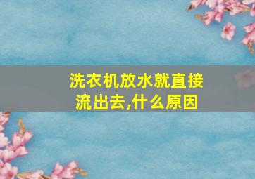 洗衣机放水就直接流出去,什么原因