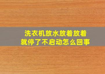 洗衣机放水放着放着就停了不启动怎么回事