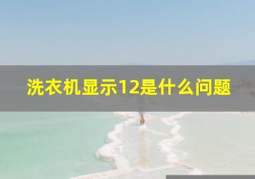 洗衣机显示12是什么问题