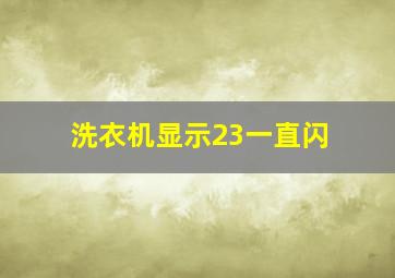 洗衣机显示23一直闪