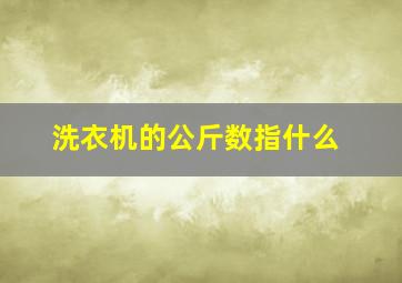 洗衣机的公斤数指什么