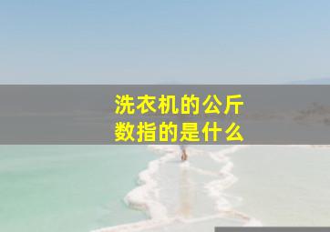 洗衣机的公斤数指的是什么