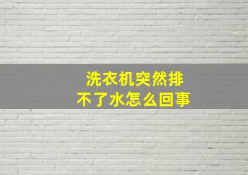 洗衣机突然排不了水怎么回事