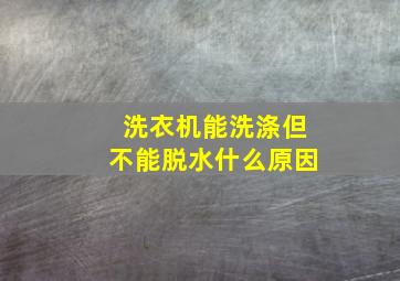 洗衣机能洗涤但不能脱水什么原因