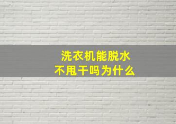 洗衣机能脱水不甩干吗为什么