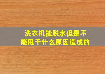 洗衣机能脱水但是不能甩干什么原因造成的