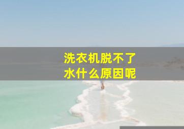 洗衣机脱不了水什么原因呢