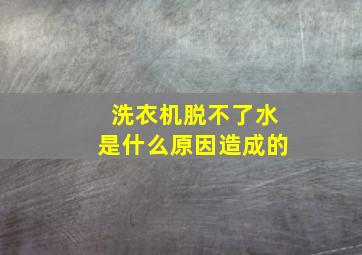 洗衣机脱不了水是什么原因造成的