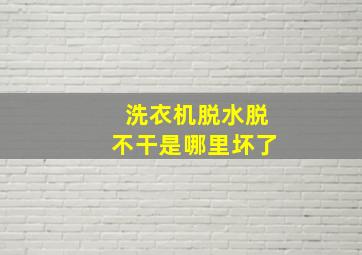 洗衣机脱水脱不干是哪里坏了