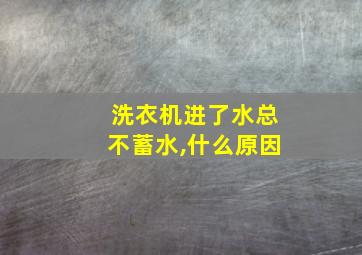 洗衣机进了水总不蓄水,什么原因