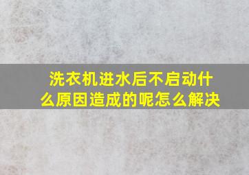 洗衣机进水后不启动什么原因造成的呢怎么解决