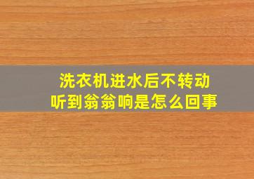 洗衣机进水后不转动听到翁翁响是怎么回事