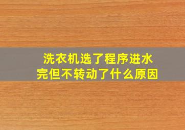 洗衣机选了程序进水完但不转动了什么原因