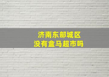 济南东部城区没有盒马超市吗