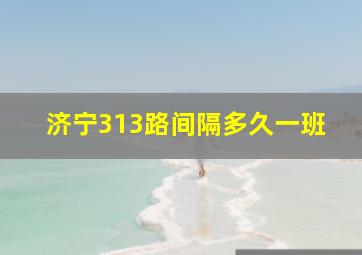 济宁313路间隔多久一班