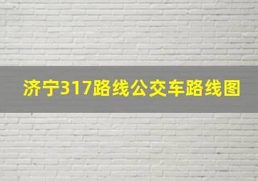 济宁317路线公交车路线图