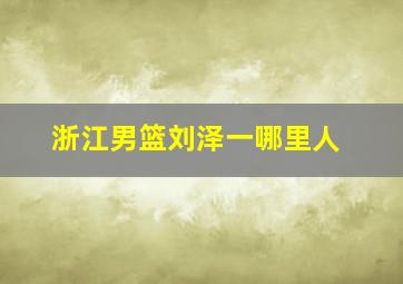 浙江男篮刘泽一哪里人