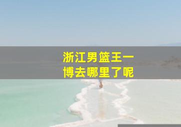 浙江男篮王一博去哪里了呢