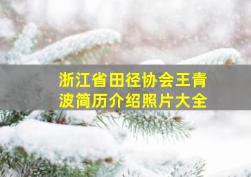 浙江省田径协会王青波简历介绍照片大全