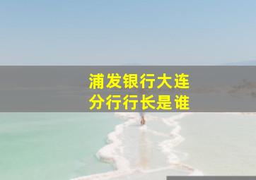 浦发银行大连分行行长是谁