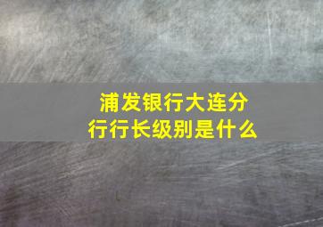 浦发银行大连分行行长级别是什么