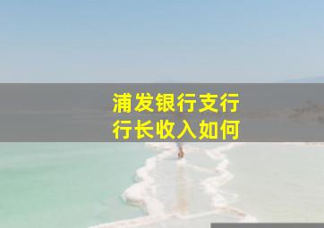 浦发银行支行行长收入如何