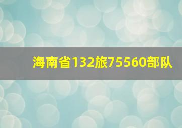 海南省132旅75560部队