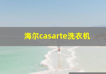 海尔casarte洗衣机