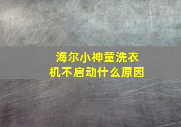 海尔小神童洗衣机不启动什么原因