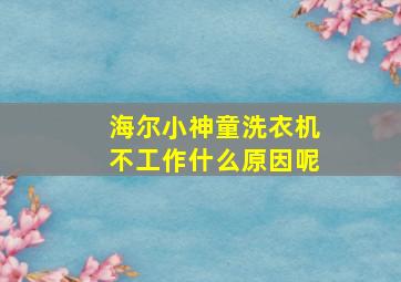 海尔小神童洗衣机不工作什么原因呢