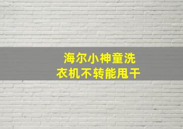 海尔小神童洗衣机不转能甩干