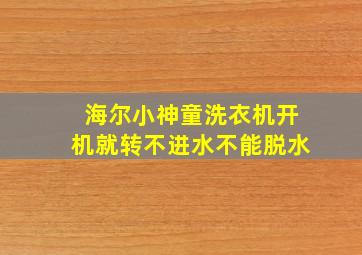 海尔小神童洗衣机开机就转不进水不能脱水