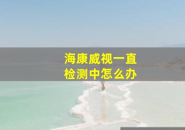 海康威视一直检测中怎么办