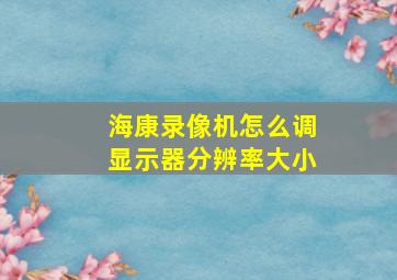 海康录像机怎么调显示器分辨率大小