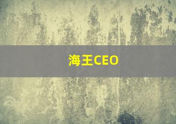 海王CEO