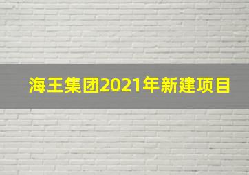 海王集团2021年新建项目