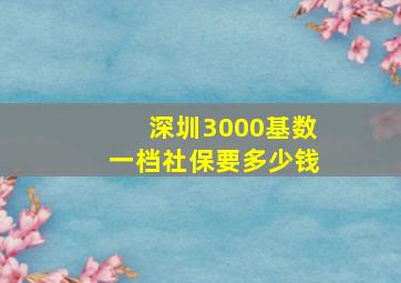 深圳3000基数一档社保要多少钱