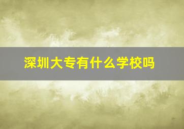 深圳大专有什么学校吗