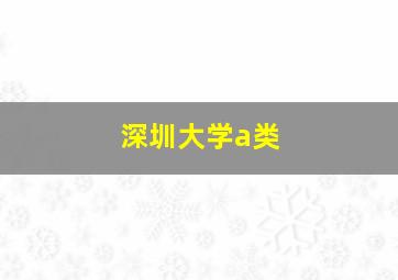 深圳大学a类