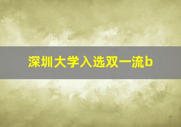 深圳大学入选双一流b