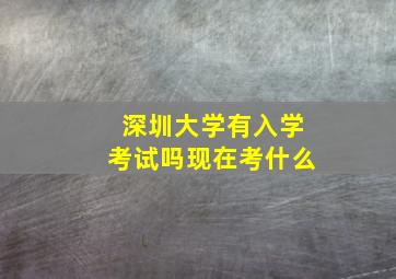 深圳大学有入学考试吗现在考什么