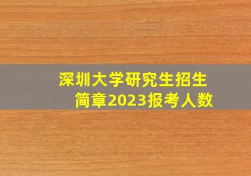 深圳大学研究生招生简章2023报考人数