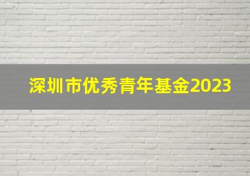 深圳市优秀青年基金2023