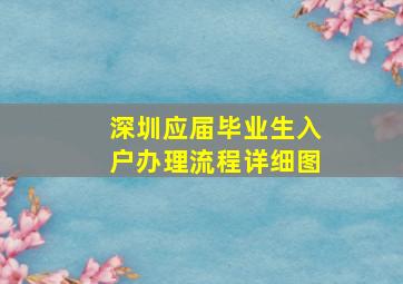 深圳应届毕业生入户办理流程详细图