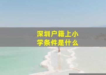 深圳户籍上小学条件是什么